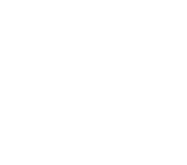 KBV Logo